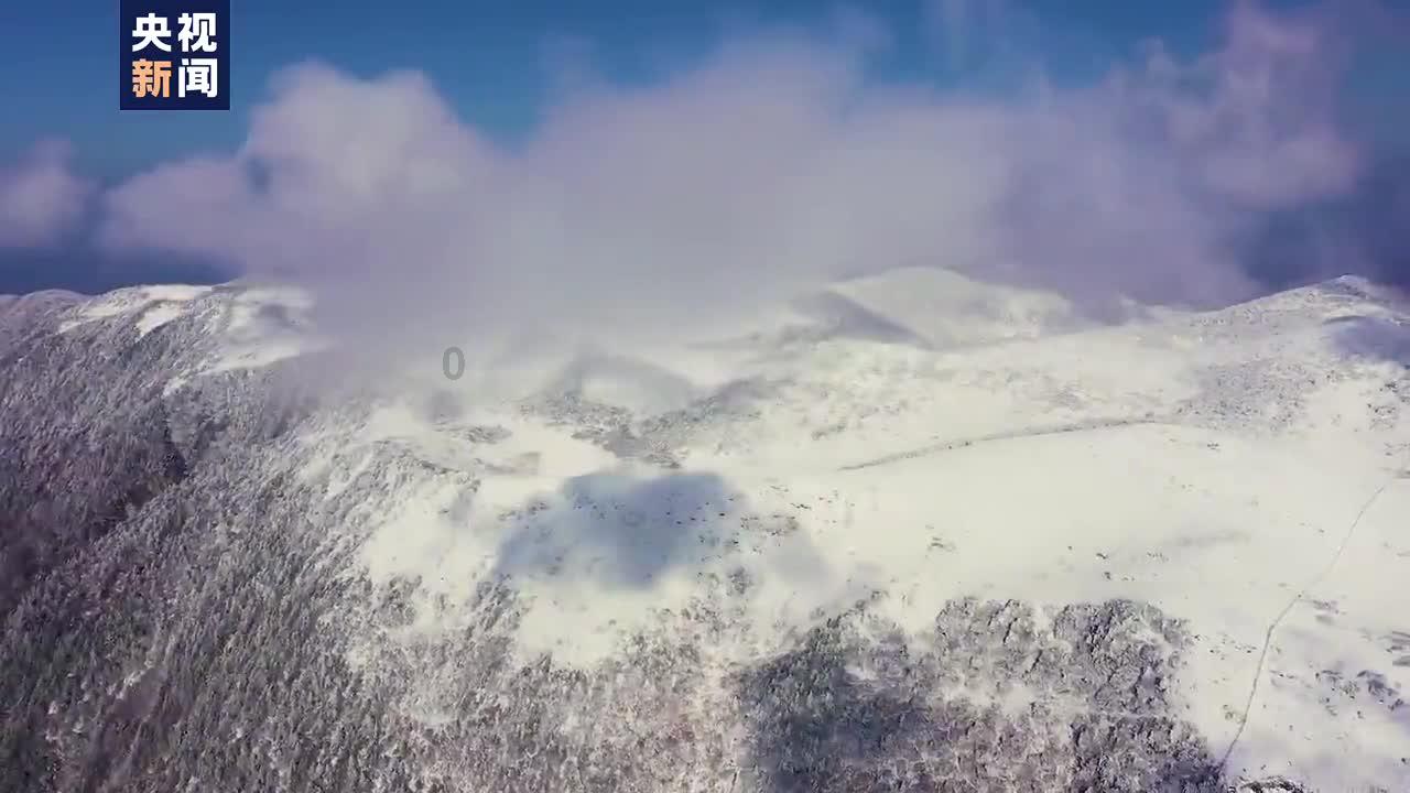 健康中国看山西:省肿瘤医院肝胆胰胃外科联合多中心手术演示周精彩落幕