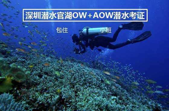小米14 Pro全等深微四曲屏大受欢迎！卢伟冰：结合直屏+曲屏优点