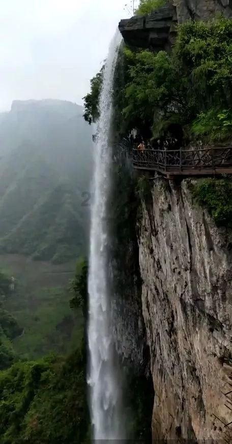 王路美:细心照护让失能老人安享晚年